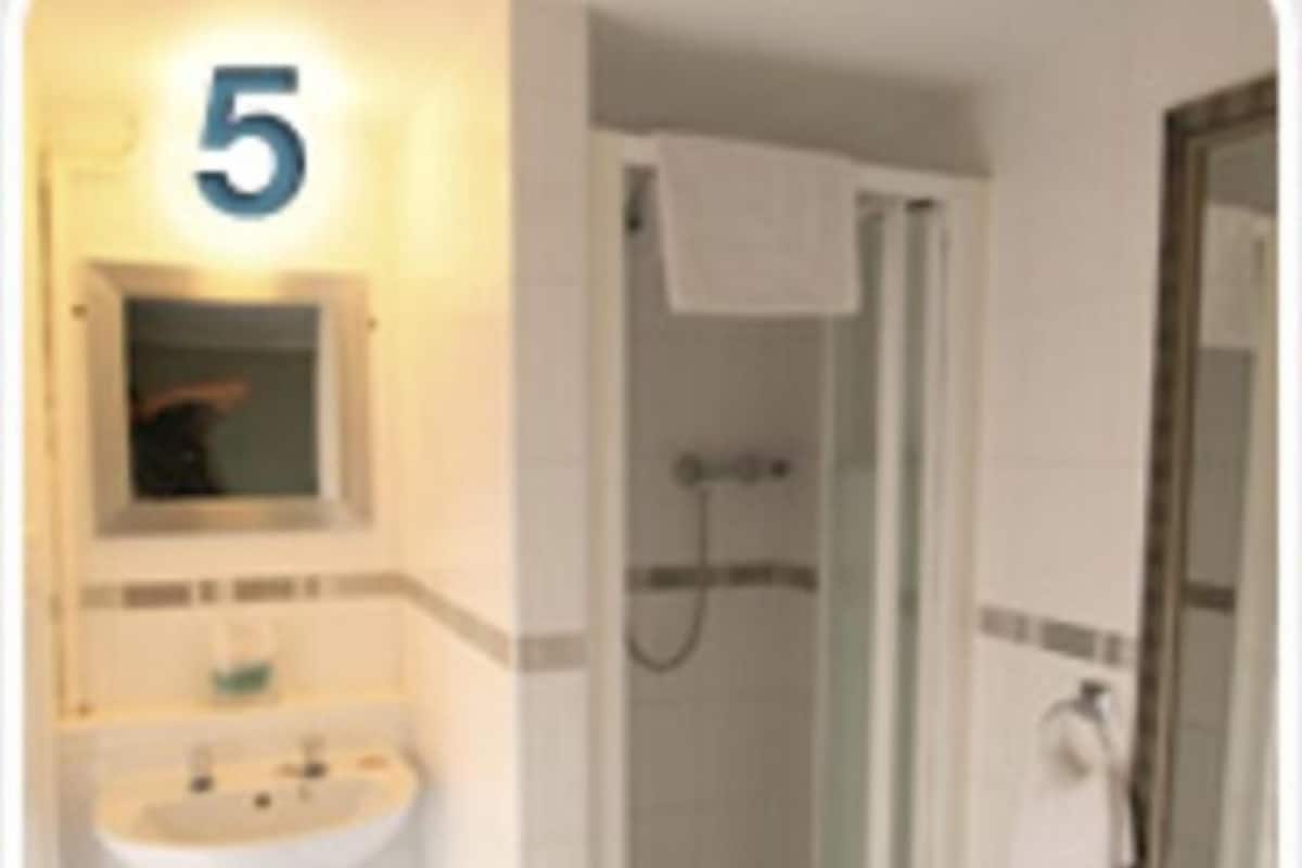 A bathroom with a sink, a mirror, a shower, and a toilet.