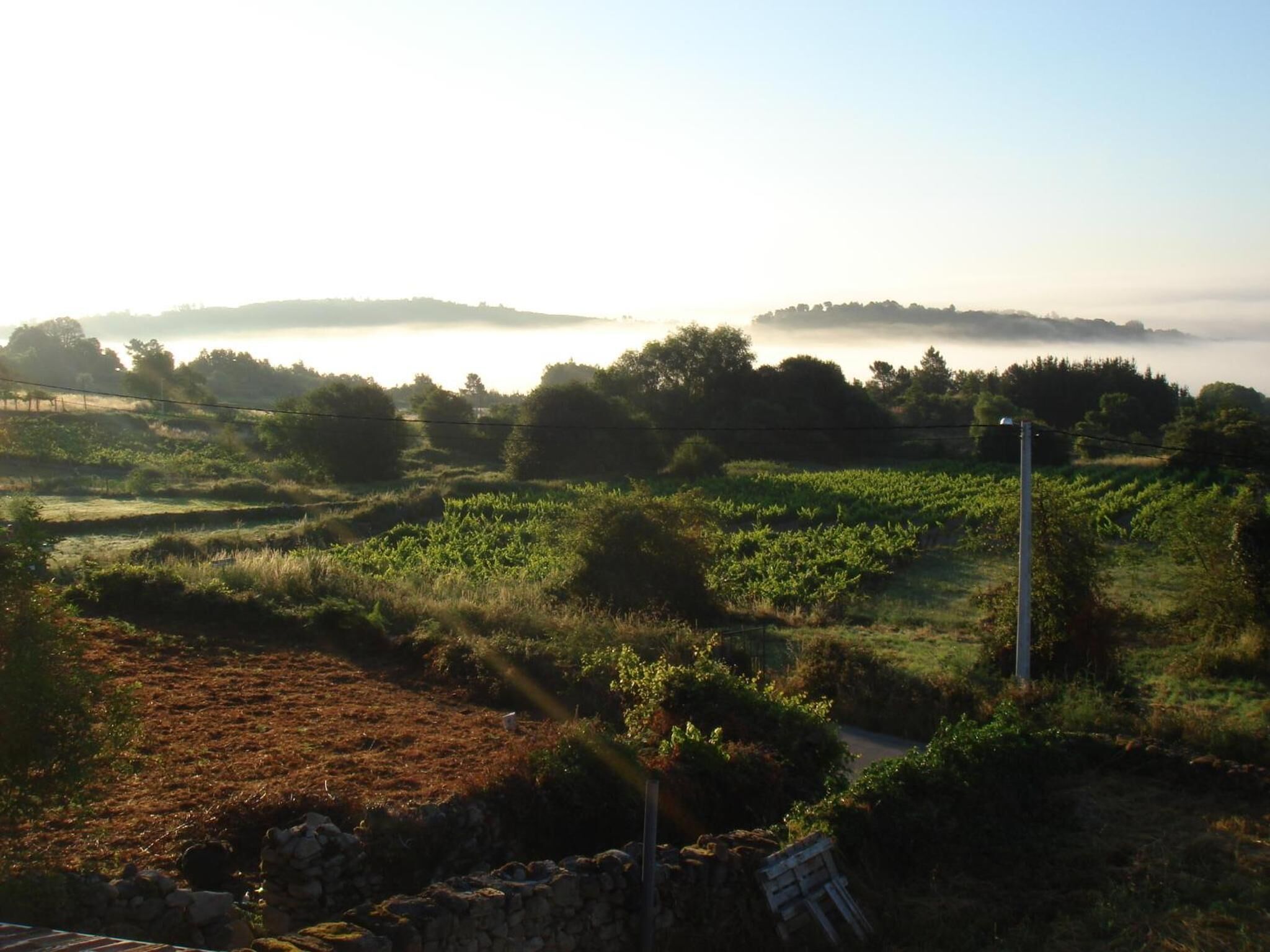 Photo - O Canto da Terra