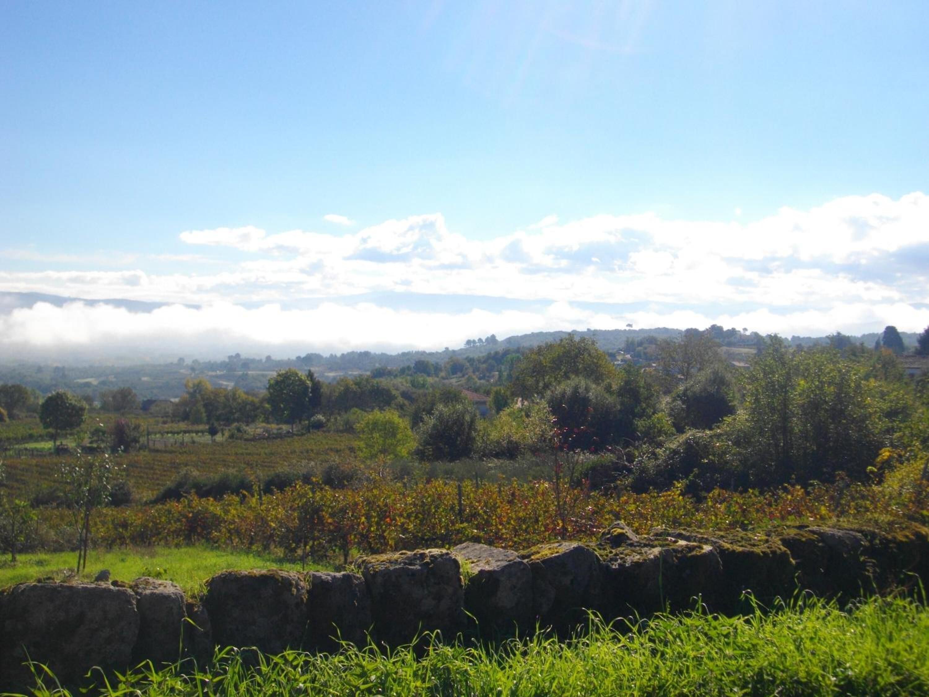 Photo - O Canto da Terra