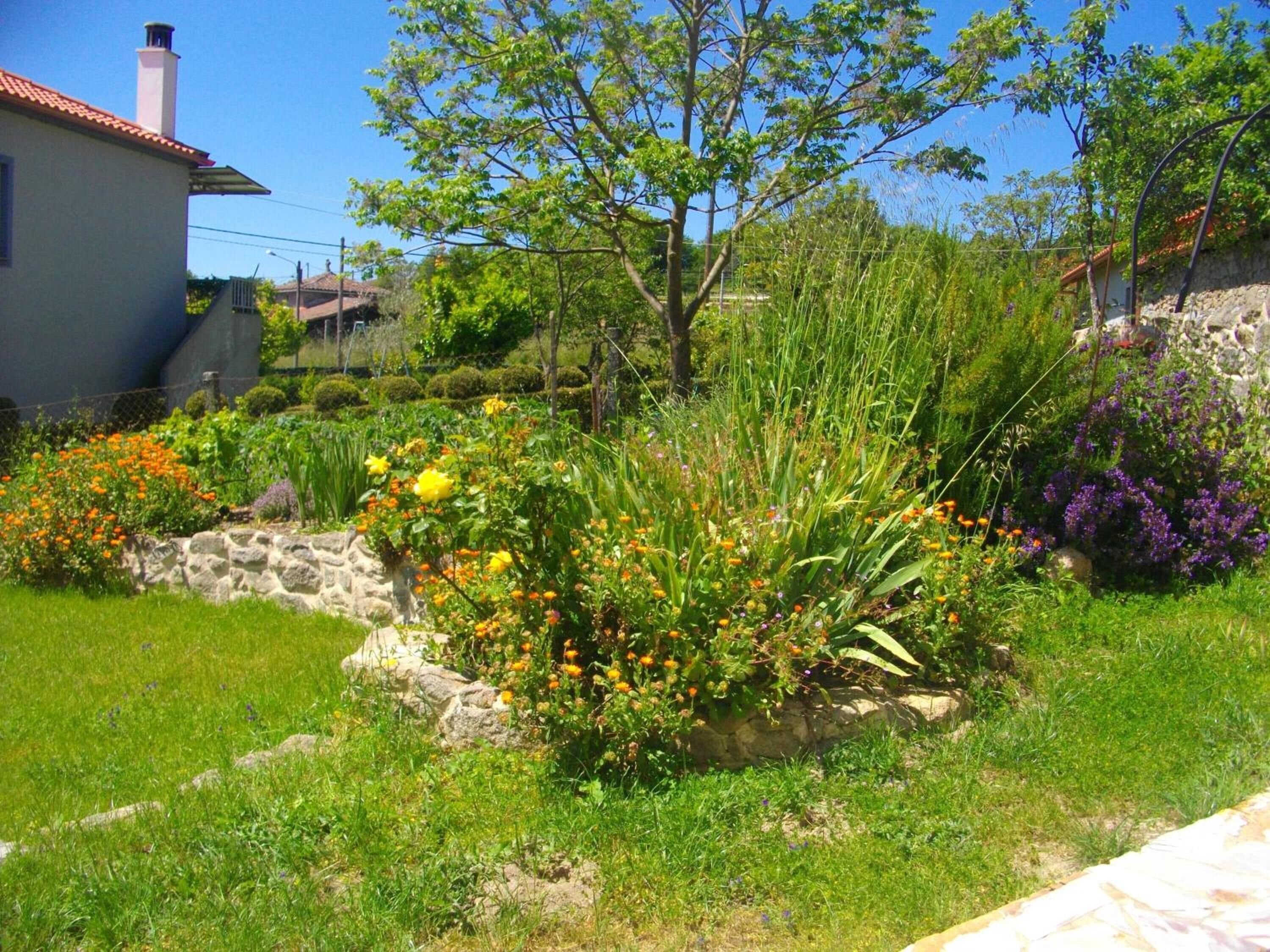 Photo - O Canto da Terra