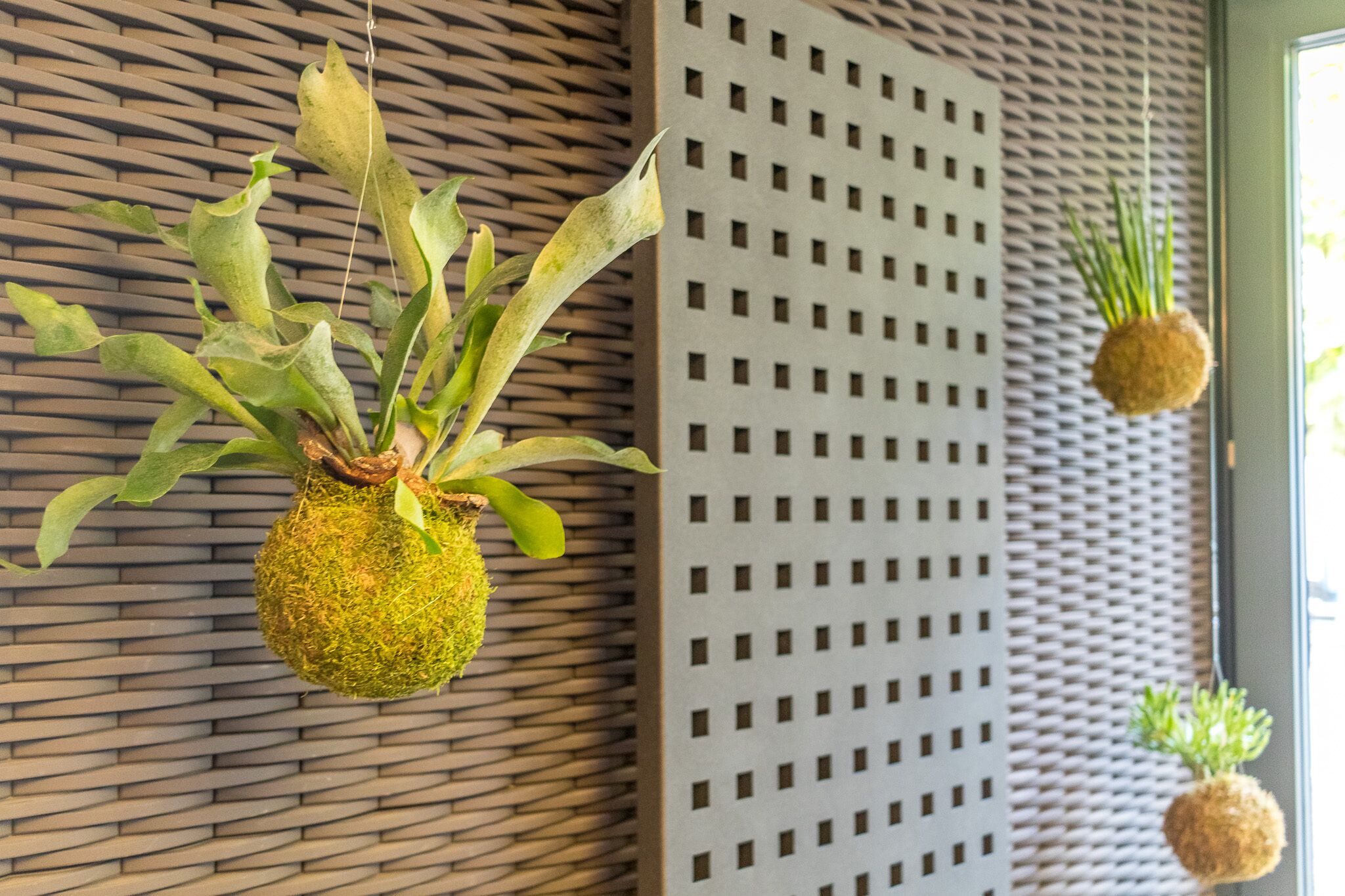 Un mur orné d’un motif texturé et deux jardinières suspendues contenant des plantes vertes.
