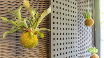 Un mur orné d’un motif texturé et deux jardinières suspendues contenant des plantes vertes.