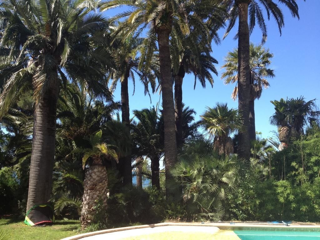 Photo - La Mandarinette