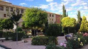 A courtyard with a gravel path, various shrubs, and a large tree. - Hospedería Nuestra Señora del Carmen (Caravaca de la Cruz)