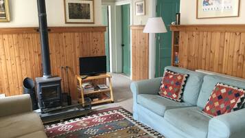 Una sala de estar con un sofá, un televisor sobre un mueble bajo, una chimenea y una alfombra estampada.
