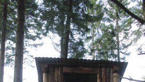 A rustic wooden cabin with a wooden door and a ladder leading to a small entrance. - Bamff Ecotourism (Blairgowrie)