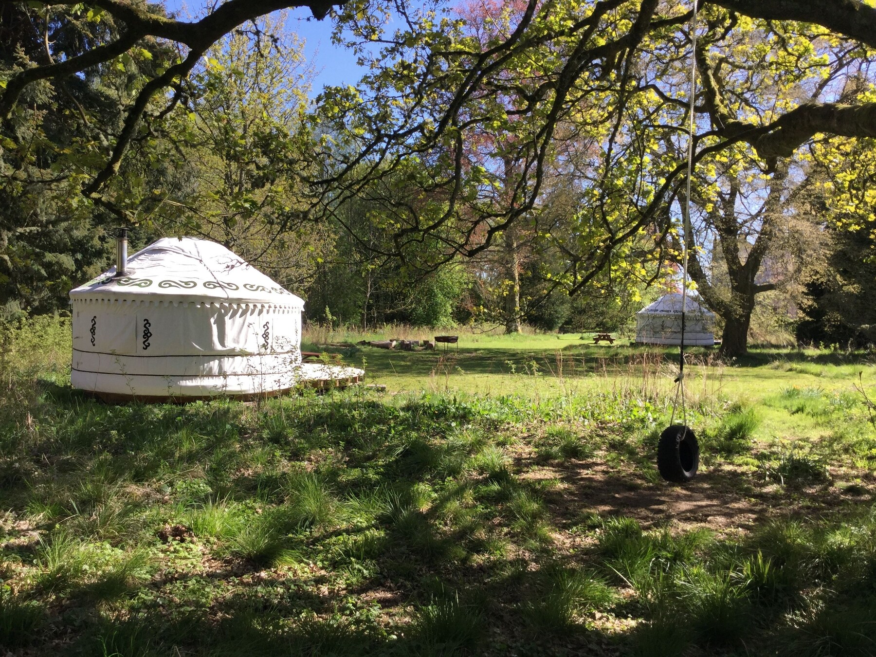 Tent | View from room