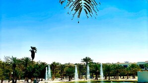 A serene park with a fountain, palm trees, and a clear blue sky.