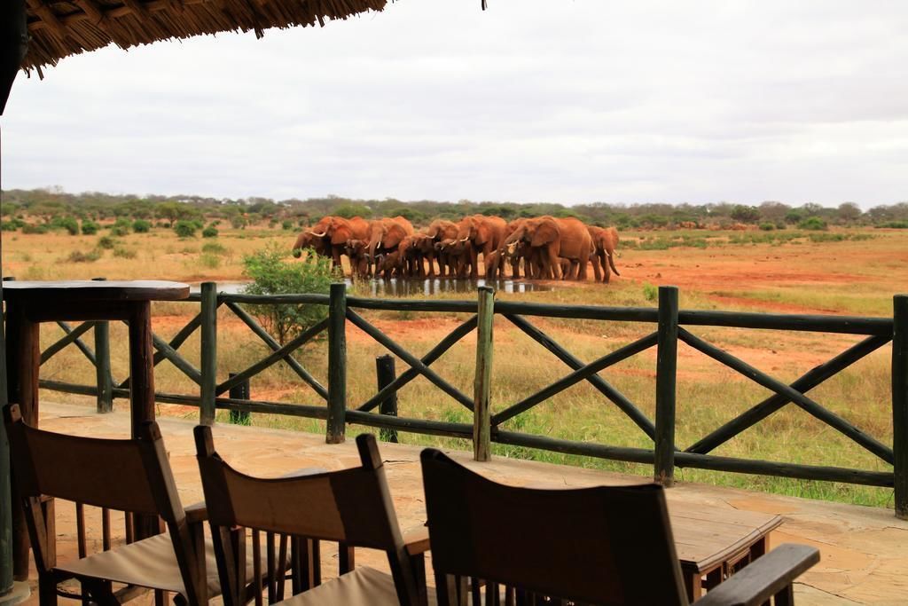 A dining area with tables and chairs overlooking a natural landscape with elephants.