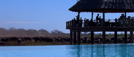 3 kolam renang outdoor dan sebuah infinity pool, dengan kursi berjemur