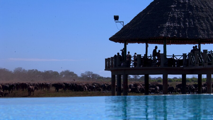 Voi Wildlife Lodge