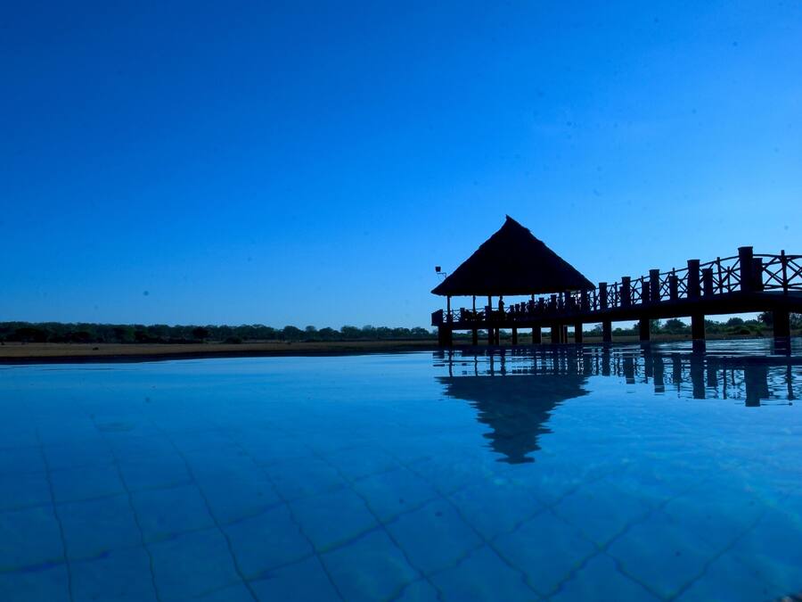 3 piscinas al aire libre, una piscina con borde infinito, tumbonas