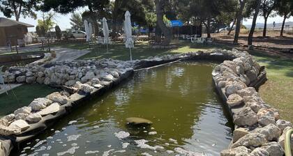 Hotel El Cisne