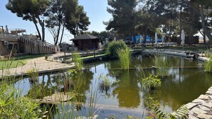 A pond with surrounding vegetation and a small bridge. - Hotel El Cisne (Zaragoza)
