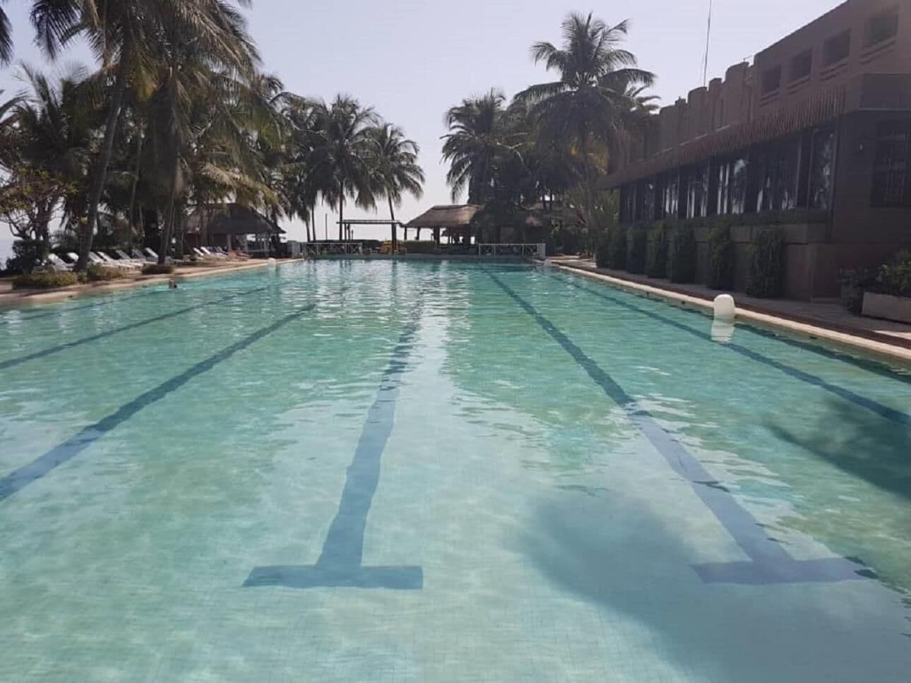 Una piscina con agua cristalina, rodeada de palmeras y un edificio con techo de paja.