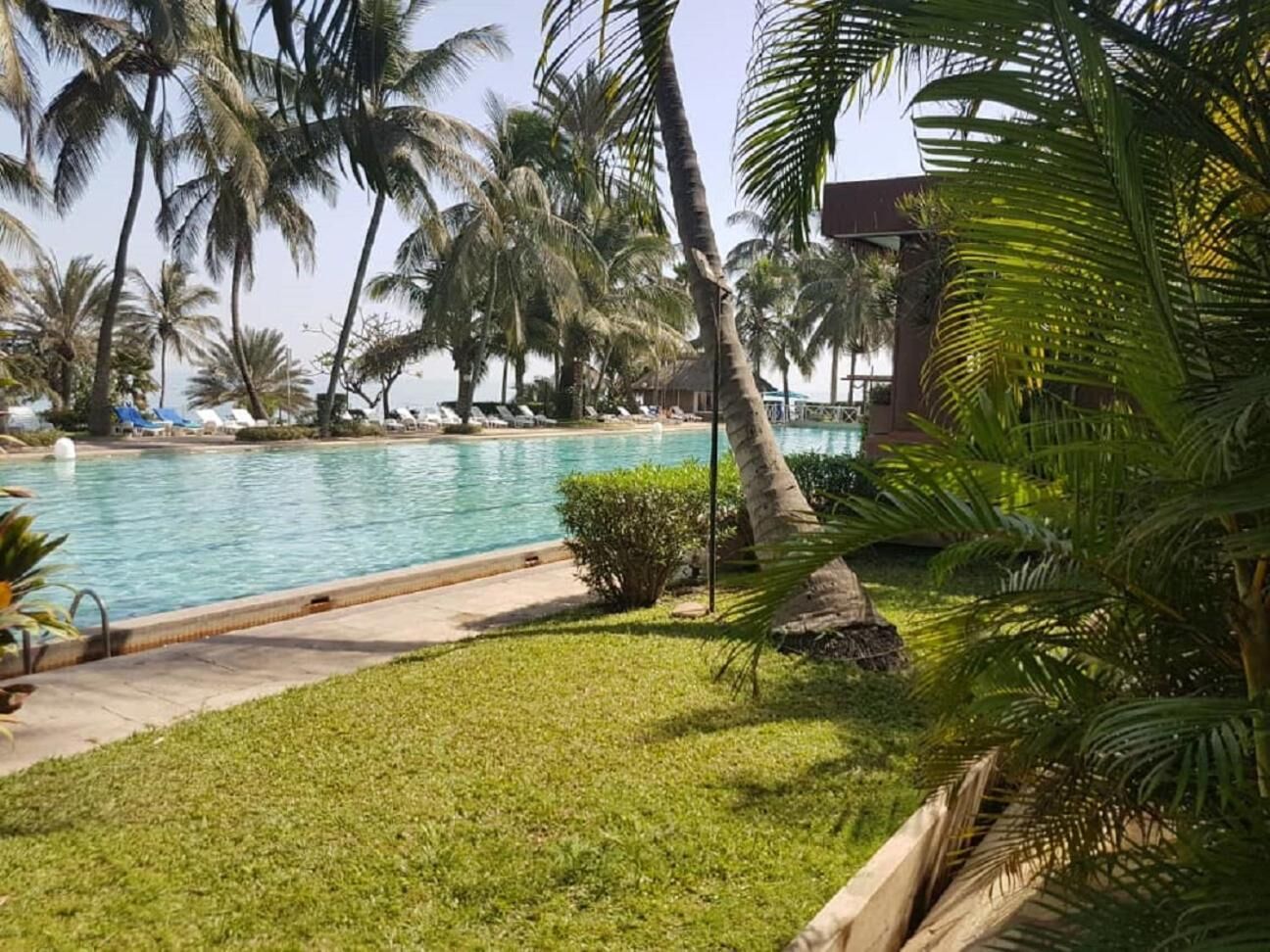 Zona de piscina con palmeras y un edificio al fondo.