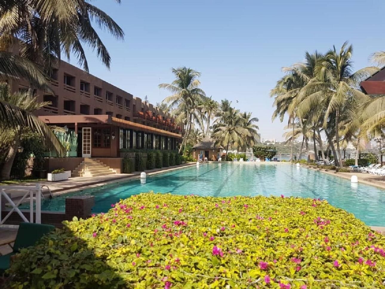 A swimming pool with a clear blue water, surrounded by palm trees and a building with multiple balconies.
