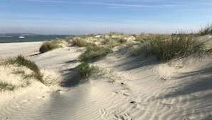 Uma praia arenosa com dunas e um barco ao longe.