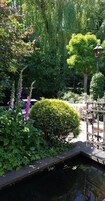 Un jardín tranquilo con un estanque, abundante vegetación y un farol decorativo.