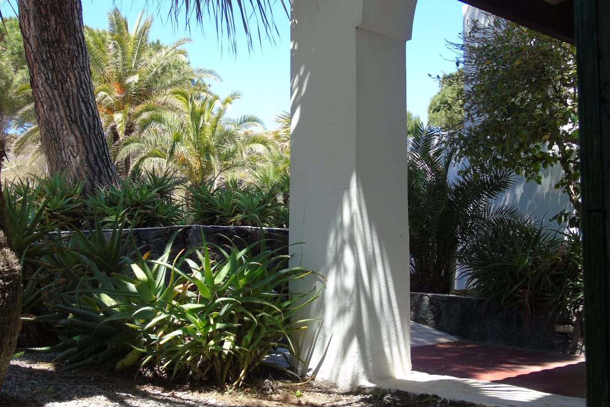 A covered outdoor area with a white column, surrounded by various plants and trees.