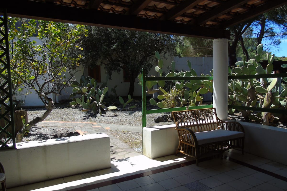An outdoor patio with a tiled floor, a wooden bench, and a cactus plant.