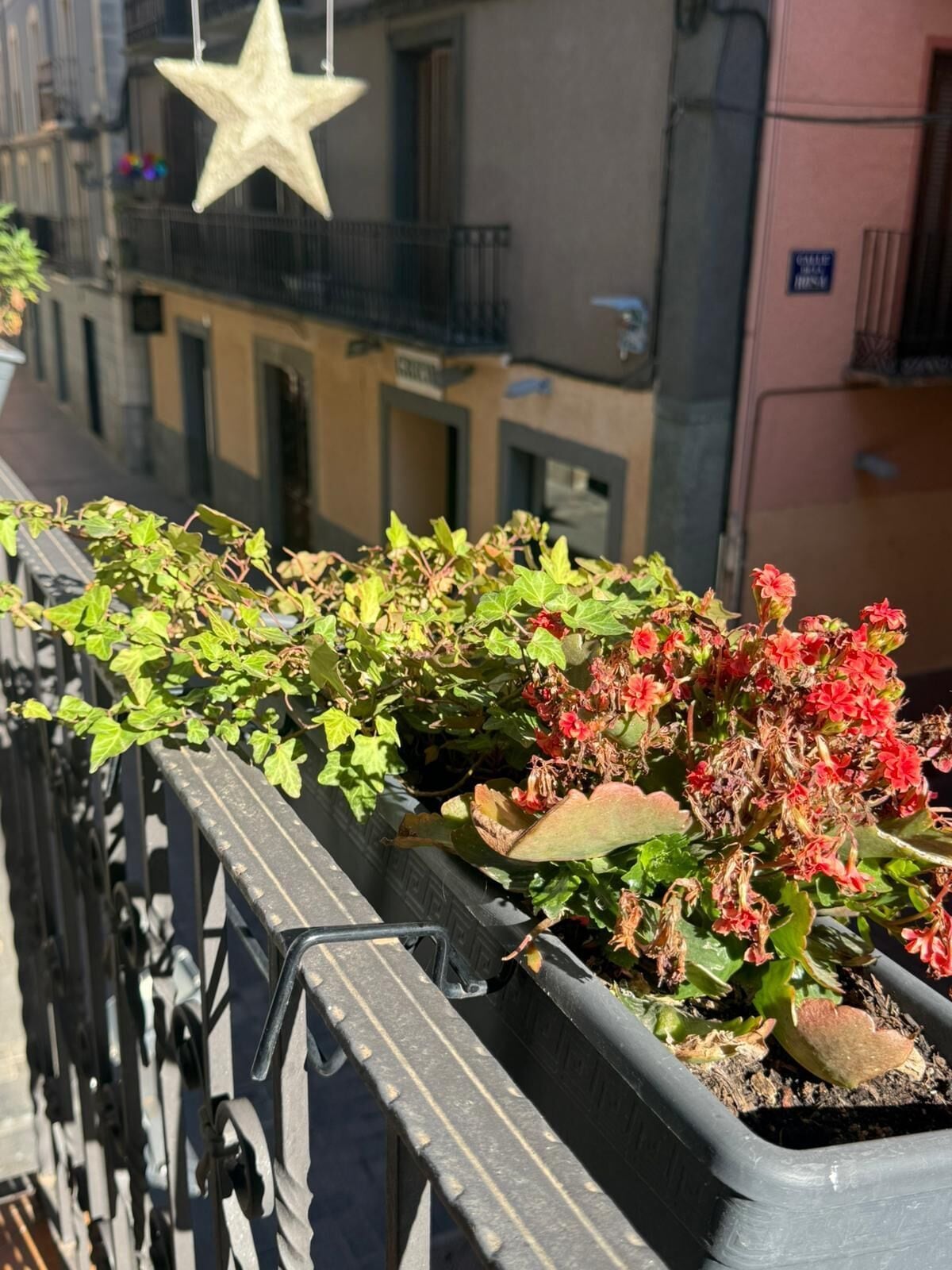 Foto - Hotel El Acebo