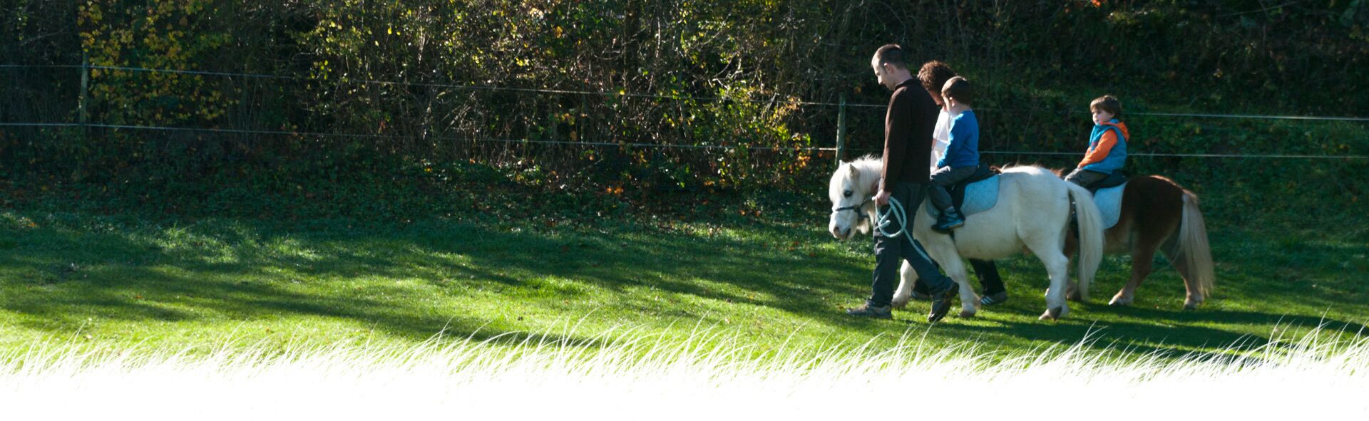 Een groep mensen rijdt op paarden in een grasveld, met een hek en bomen op de achtergrond.