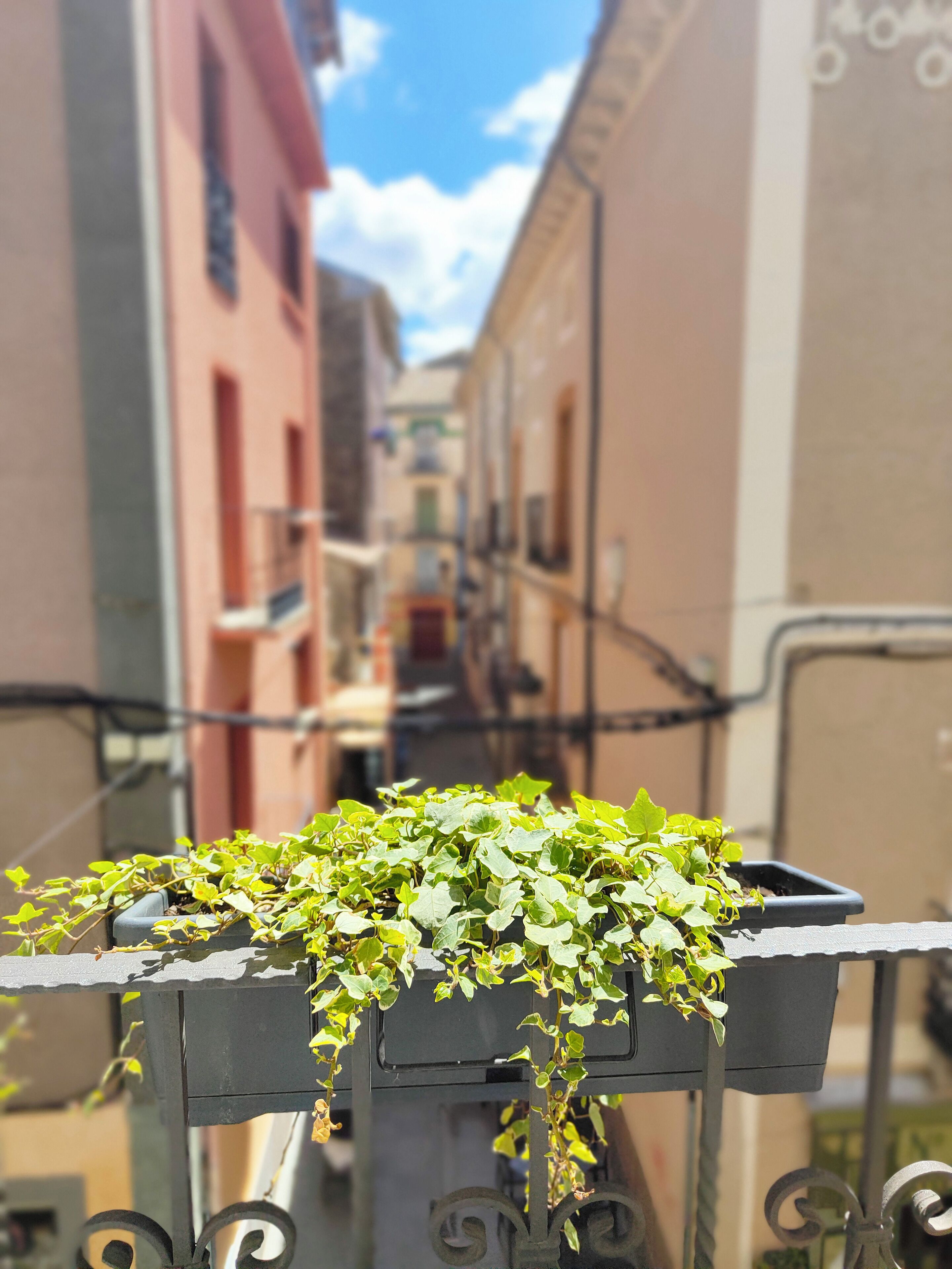 Foto - Hotel El Acebo