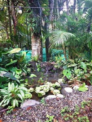 สระว่ายน้ำกลางแจ้ง