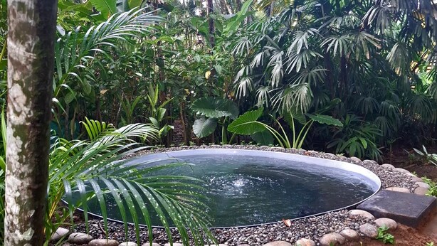 A small pond surrounded by lush greenery and rocks. - El Jardin de Playa Negra (Cahuita)
