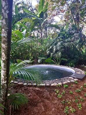 Outdoor pool - El Jardin de Playa Negra (Cahuita)