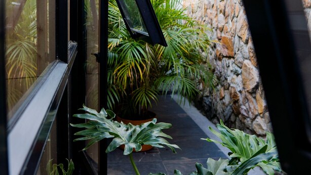 Elite Room | Terrace/patio - Hotel Piedras De Maní (Manizales)