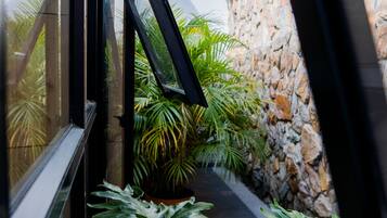 Elite Room | Terrace/patio