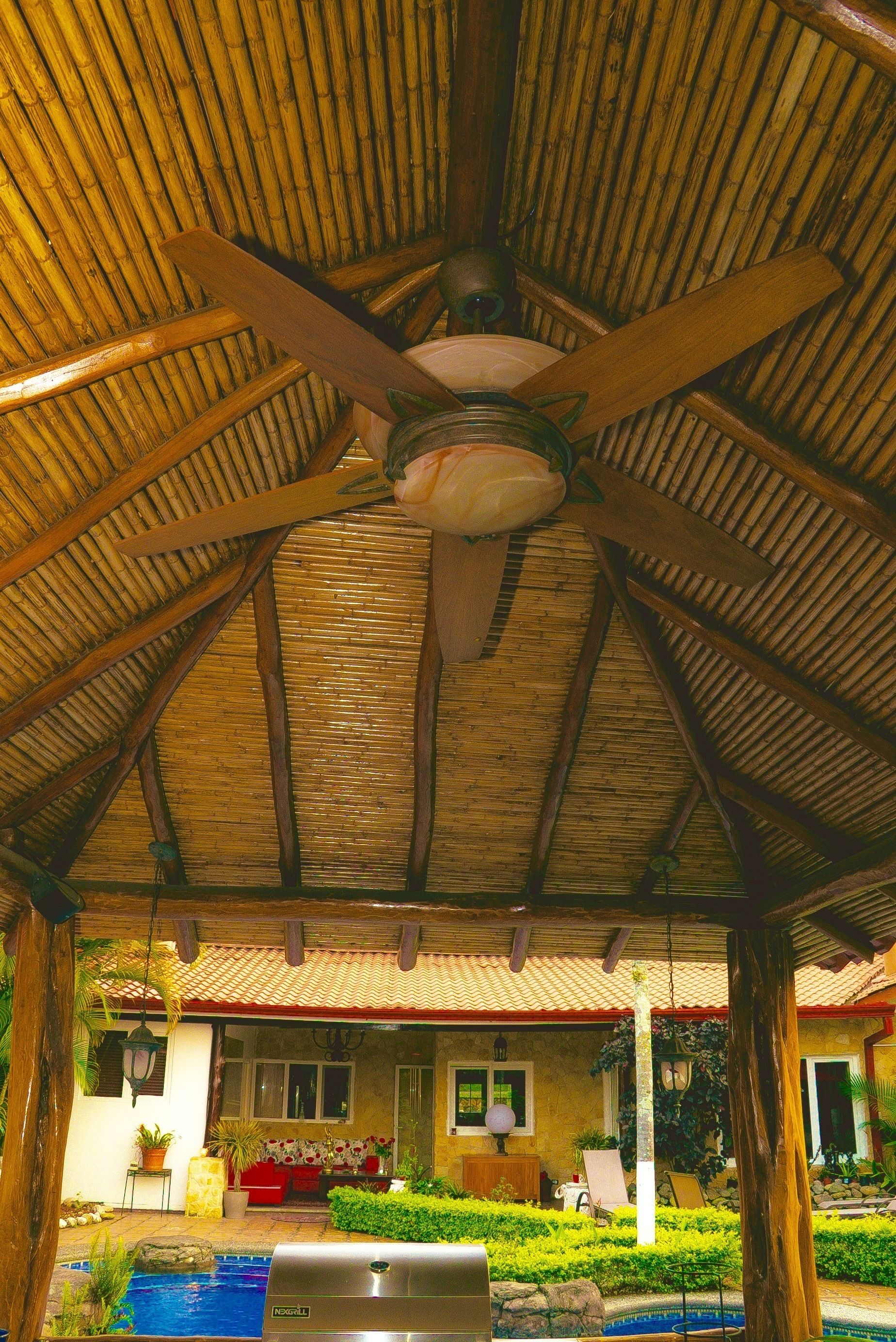 Hiên