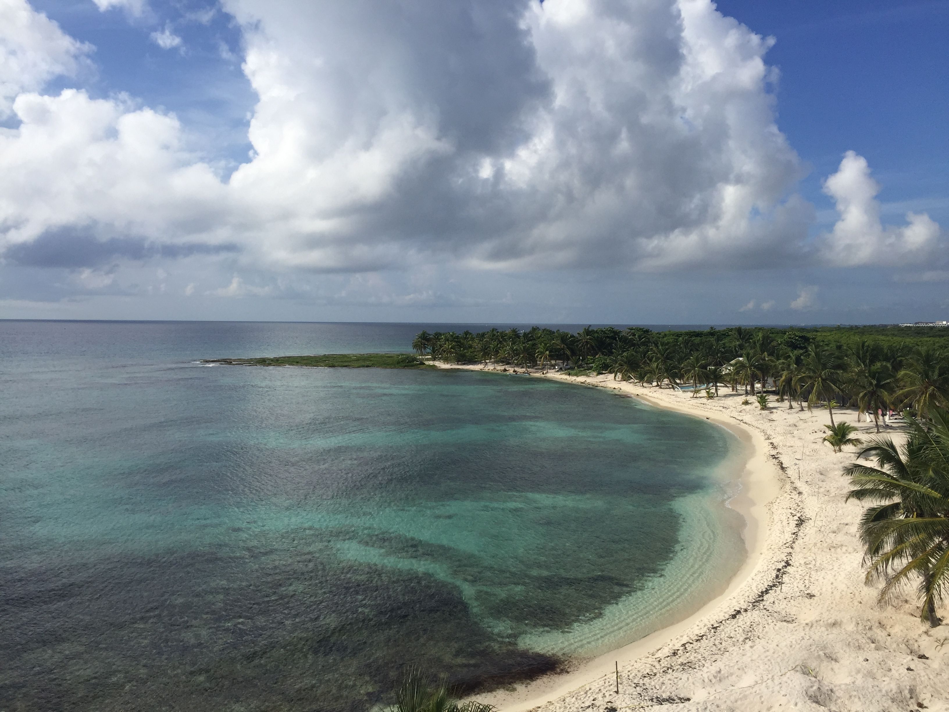 Uma praia com águas turquesa cristalinas, areal arenoso e palmeiras.