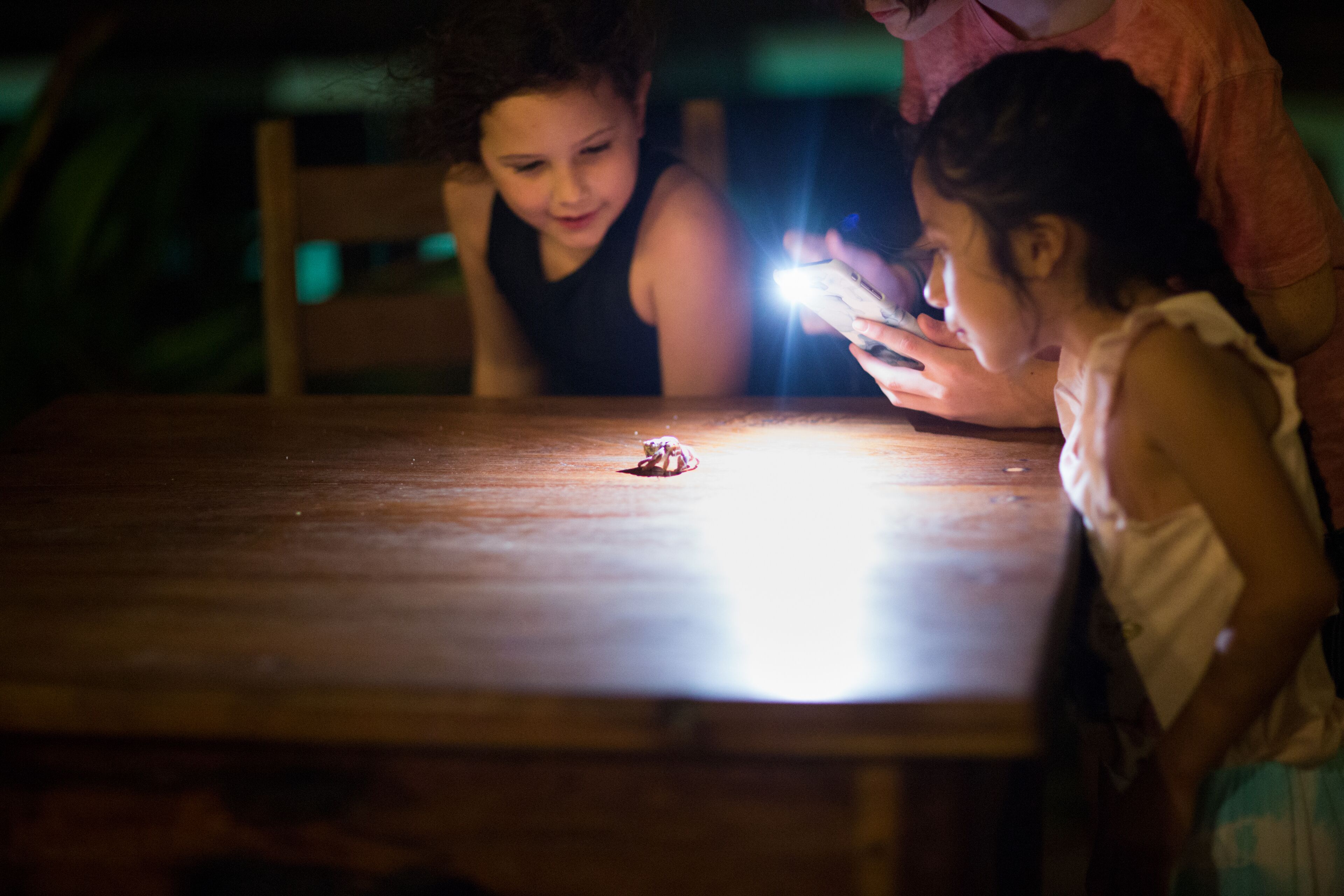 children’s activities