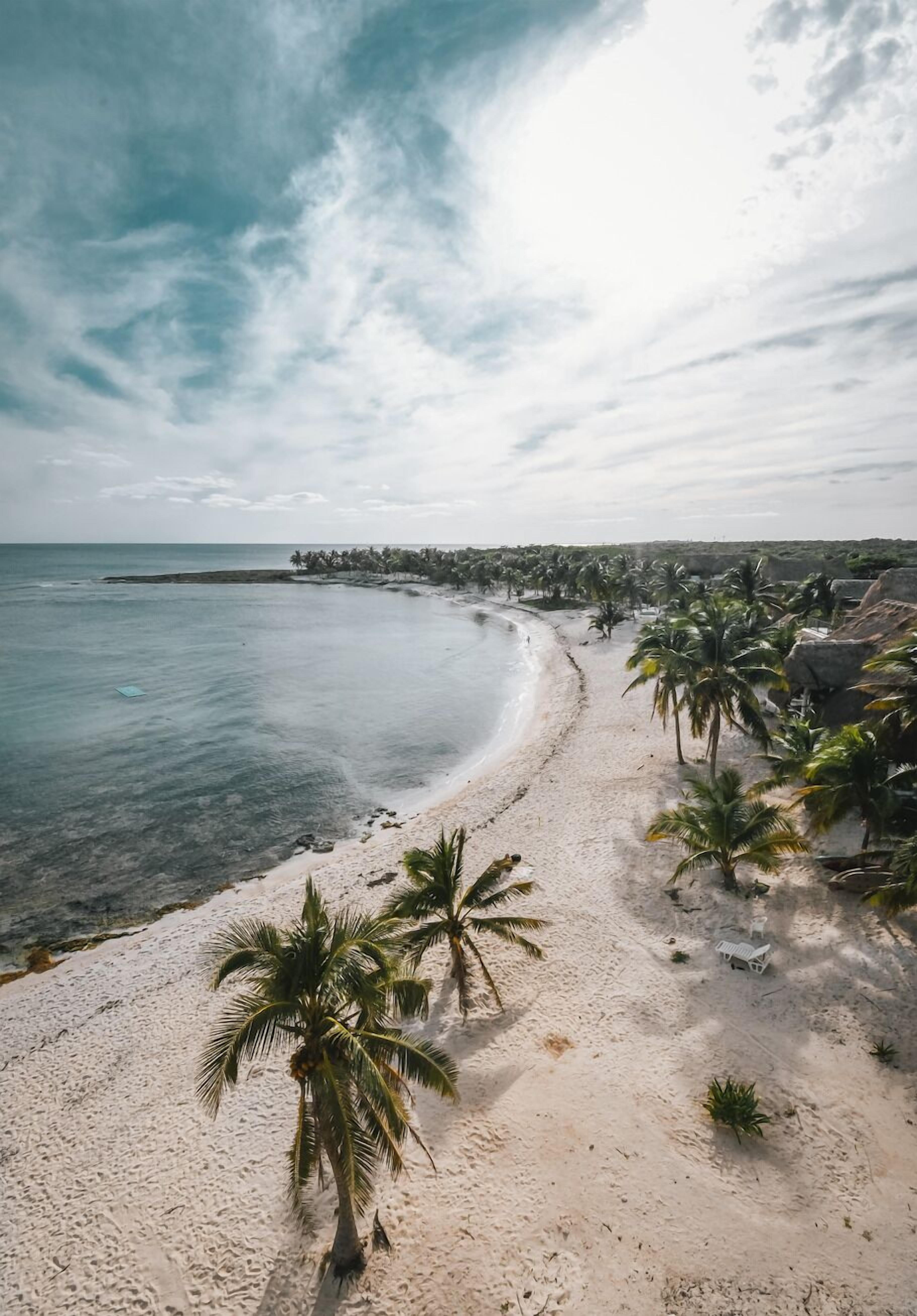 Ein Strand mit weißem Sand, Palmen und freiem Blick auf den Ozean.