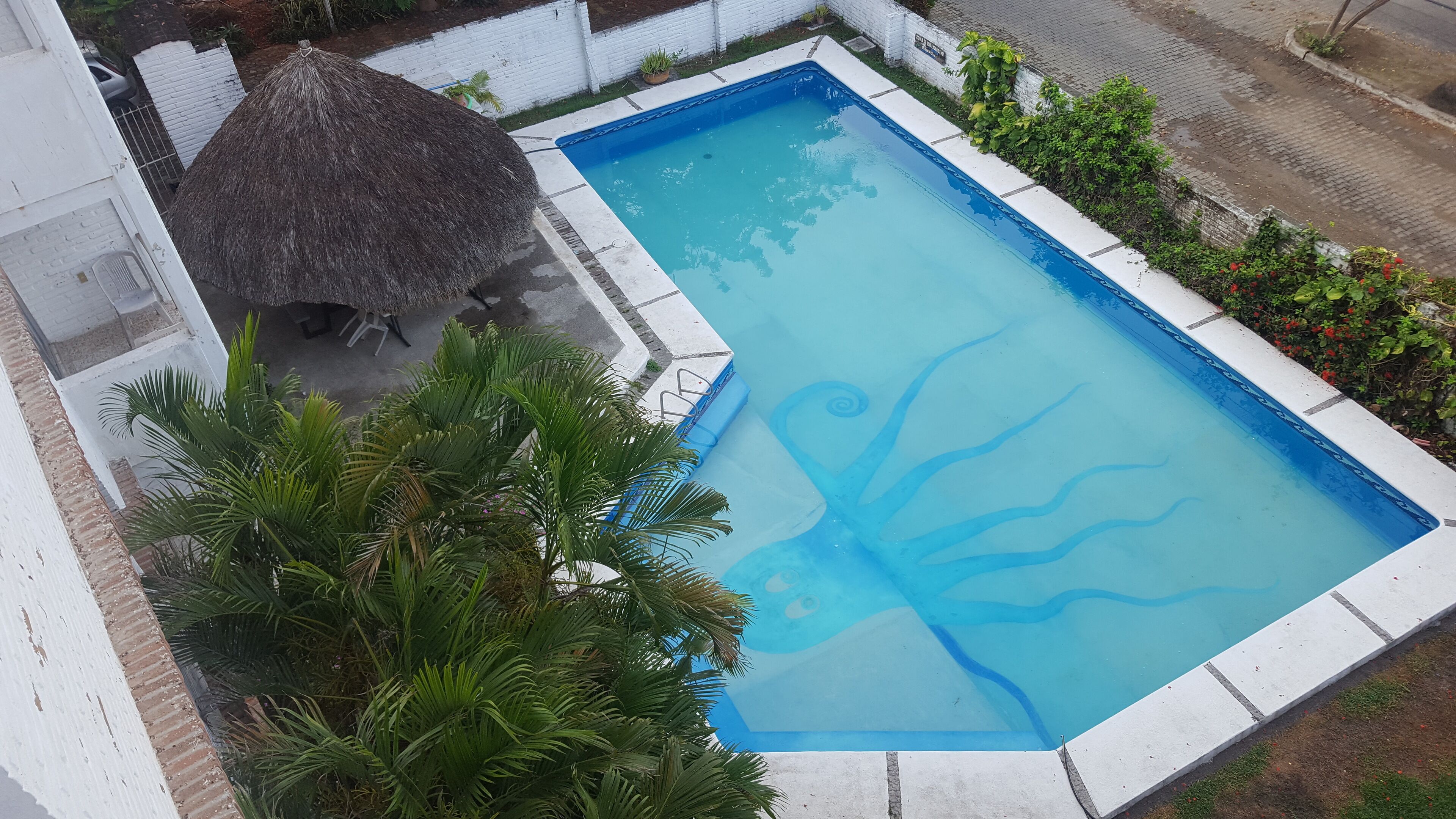 Una piscina rectangular amb un disseny blau, envoltada per parets blanques i una estructura de teulada de palla.