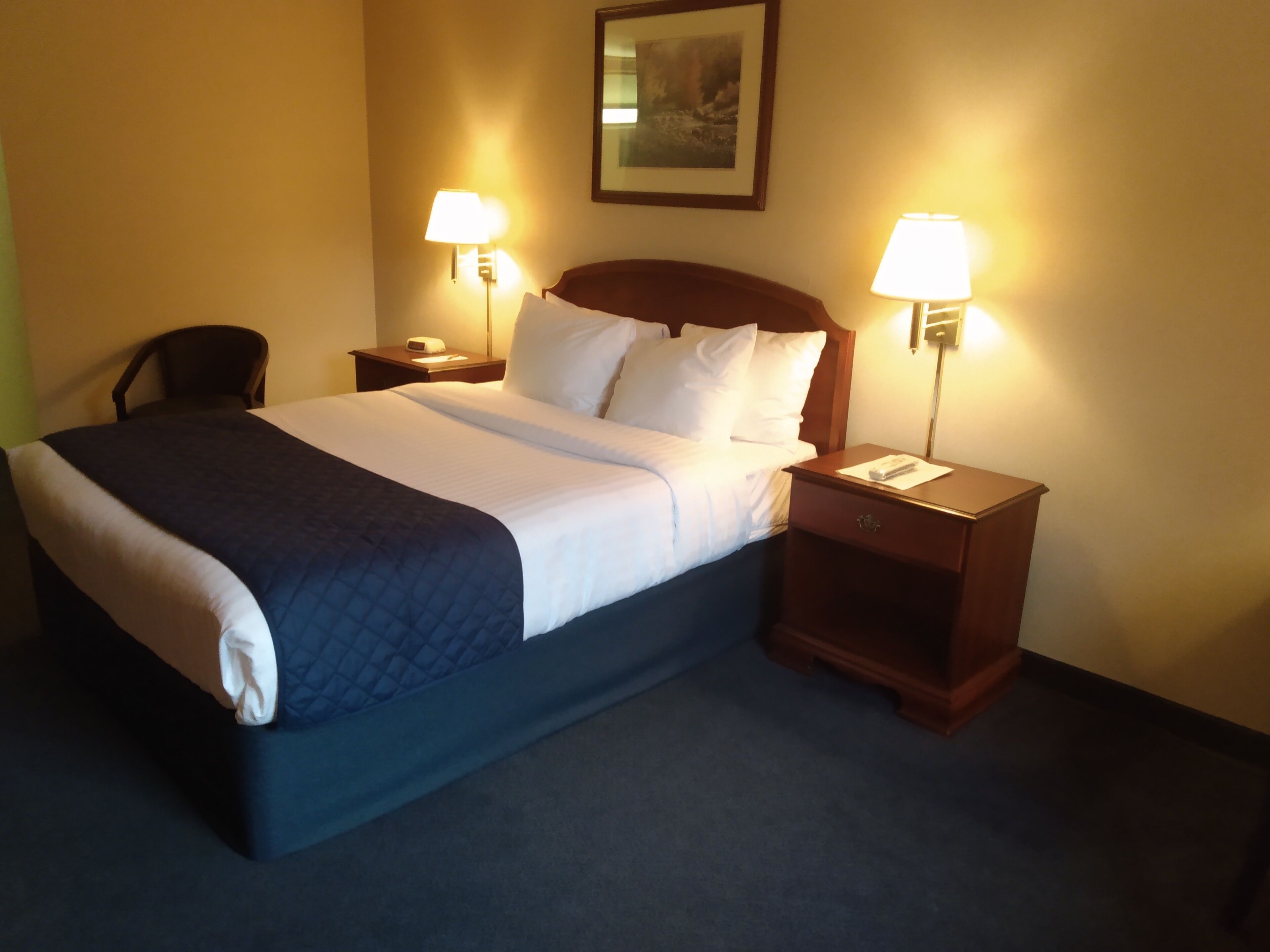 standard room, 1 queen bed | 1 bedroom, premium bedding, down duvets, laptop workspace