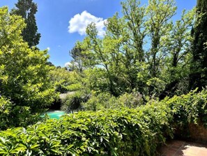 Escape to a serene natural oasis with a winding pathway inviting exploration.