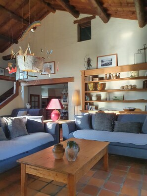 Fernseher, Kamin, DVD-Player, Bücher