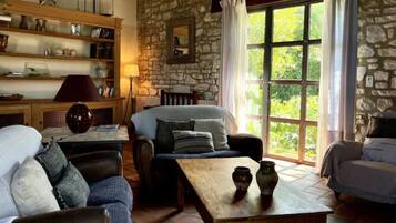 TV, fireplace, DVD player, books