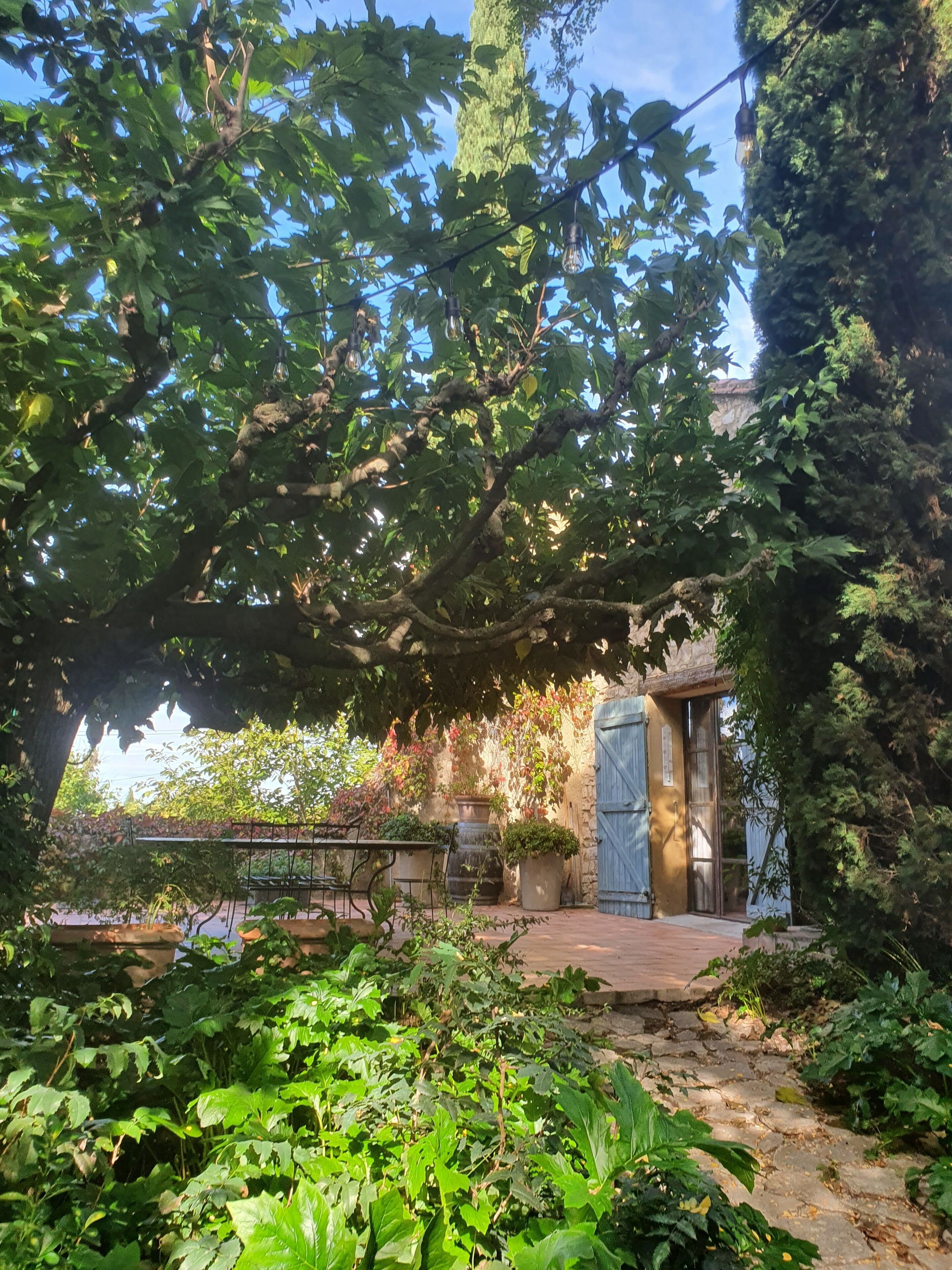 Terrein van de accommodatie