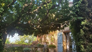 Ein Garten mit einem gepflasterten Weg, der zu einem Gebäude mit einer blauen Tür führt.