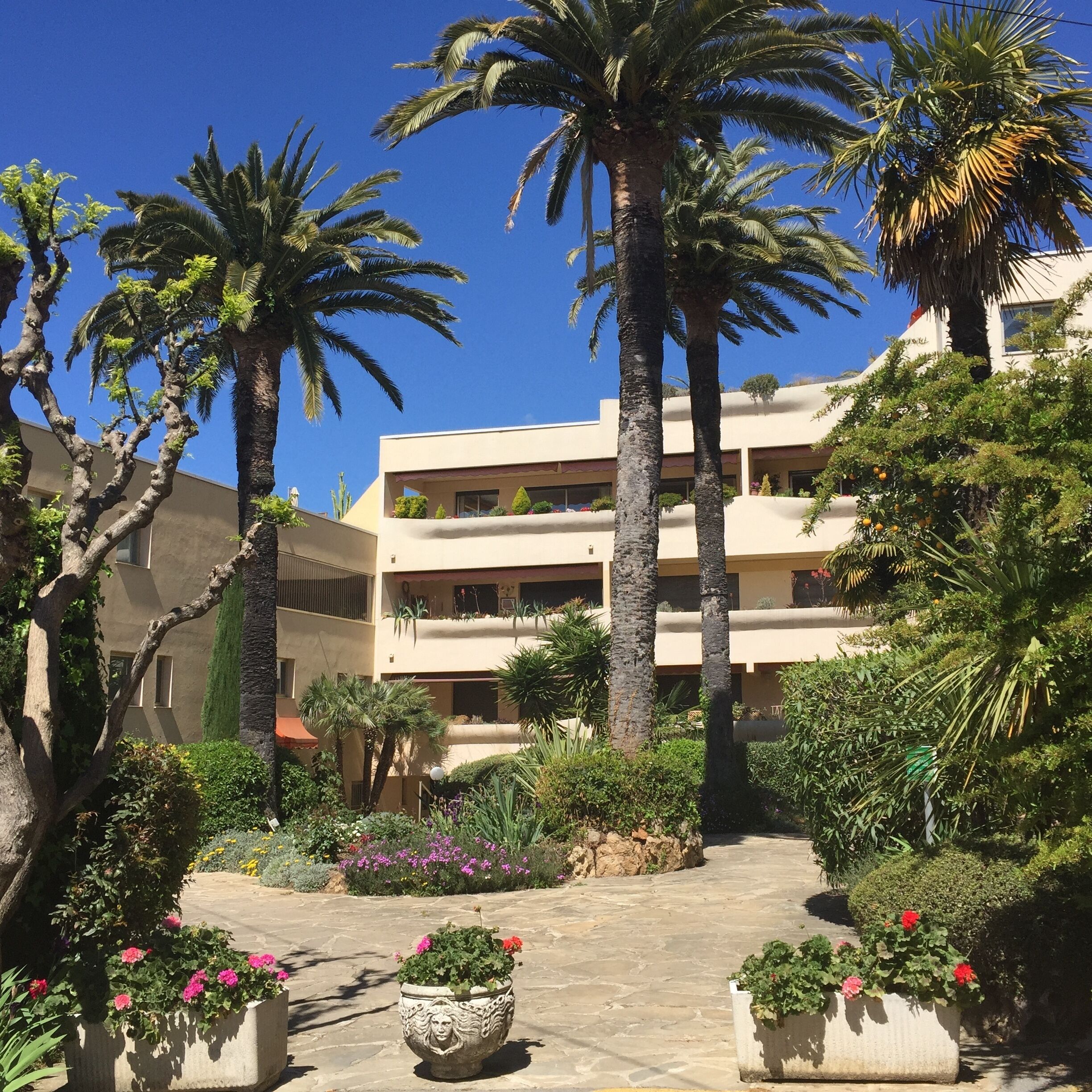 A courtyard with palm trees, potted plants, and a building with multiple balconies.