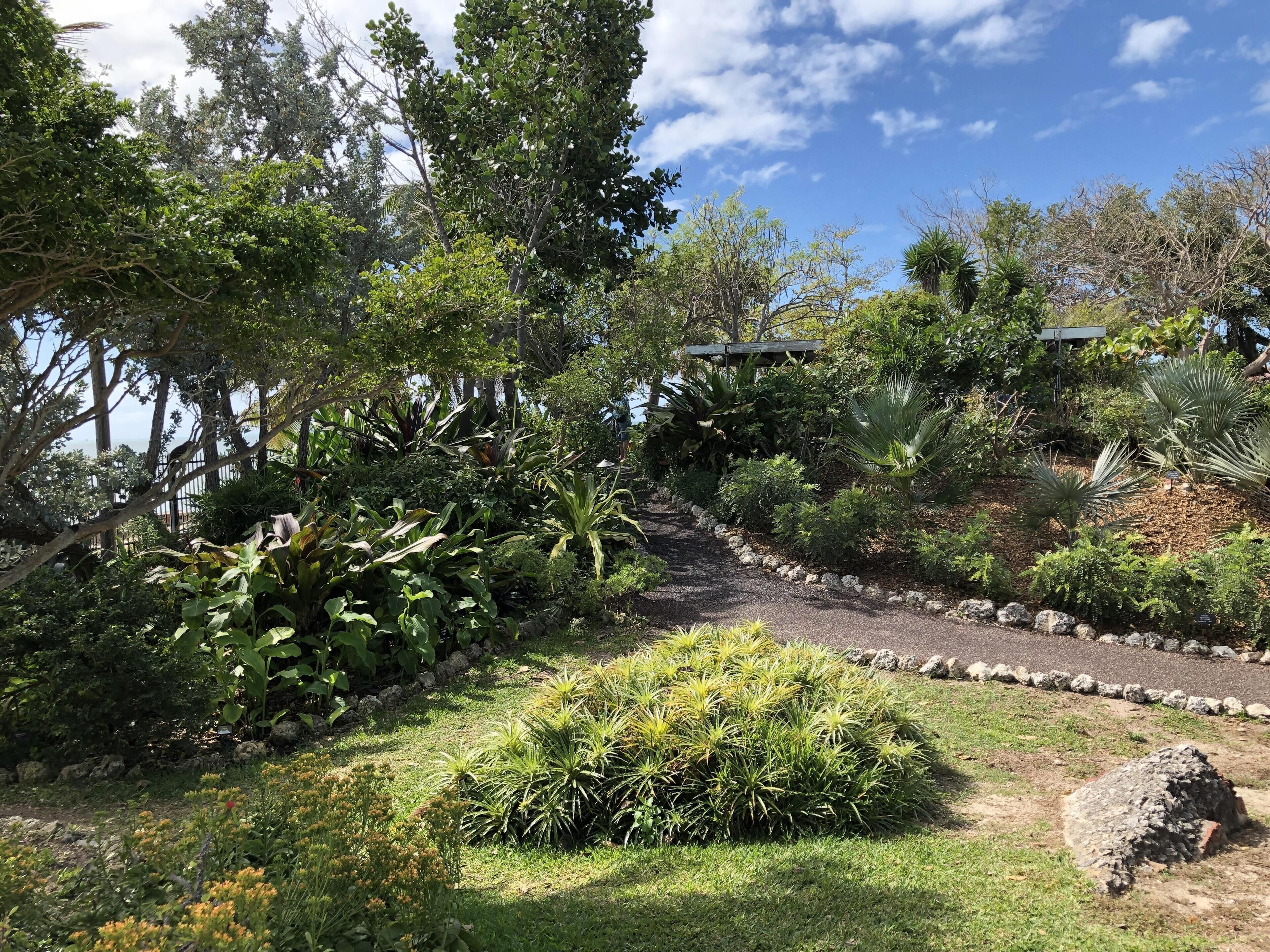 Ein Garten mit verschiedenen Pflanzen, einem Kiesweg und einer Steinmauer.