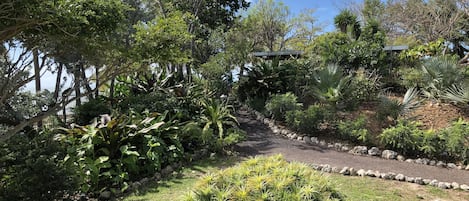 A garden with a variety of plants, a gravel path, and a stone wall.