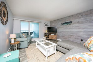 Televisio, DVD-soitin, kirjoja, musiikkikirjasto