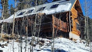 A log cabin with a metal roof, surrounded by snow and trees.