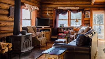 TV, fireplace, DVD player, books